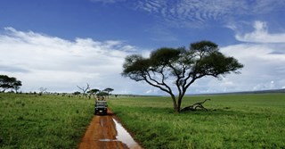 Far iväg på safari i Afrika – se de billigaste safariresorna